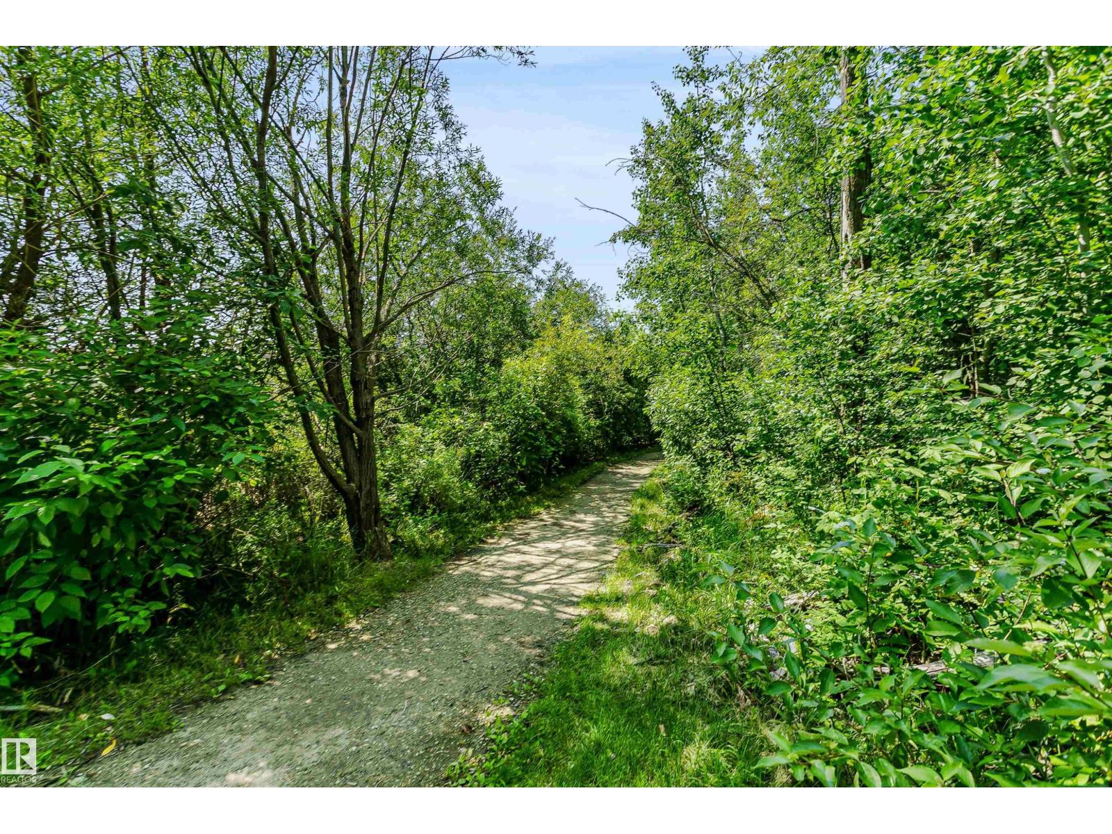 536 Highland Dr, Sherwood Park, Alberta  T8A 6E3 - Photo 48 - E4501786
