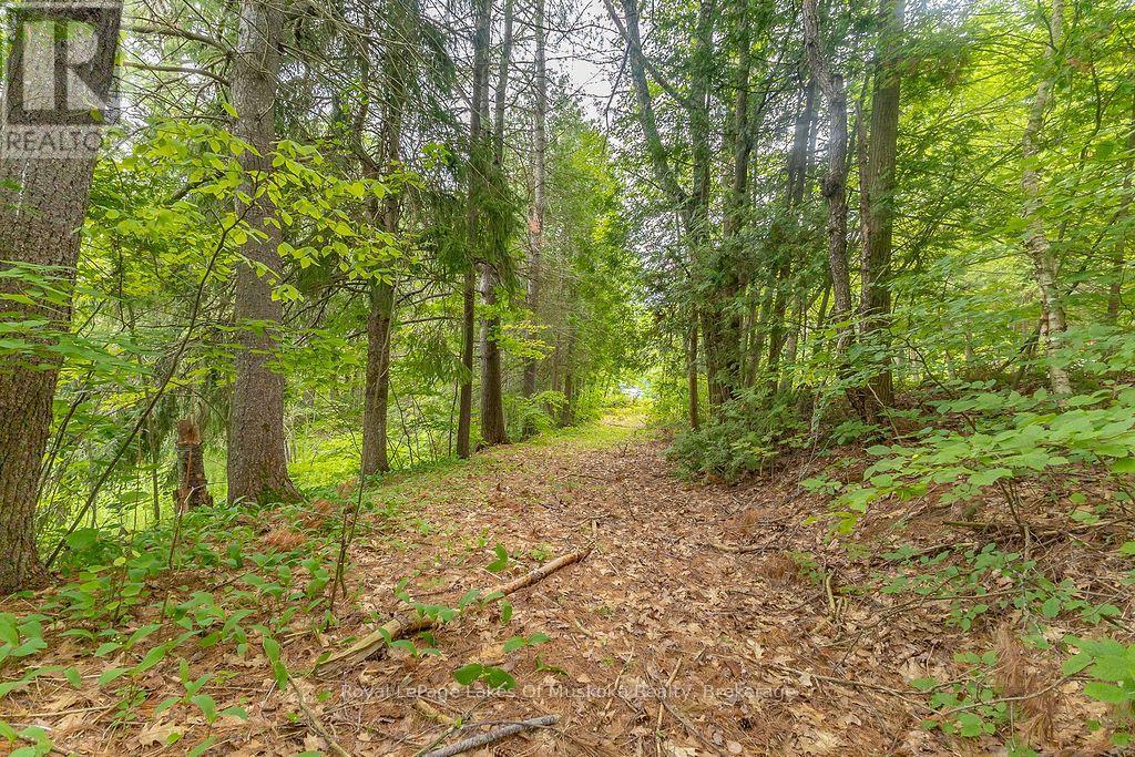 3712 Brunel Road, Lake Of Bays, Ontario  P0B 1A0 - Photo 9 - X13629232