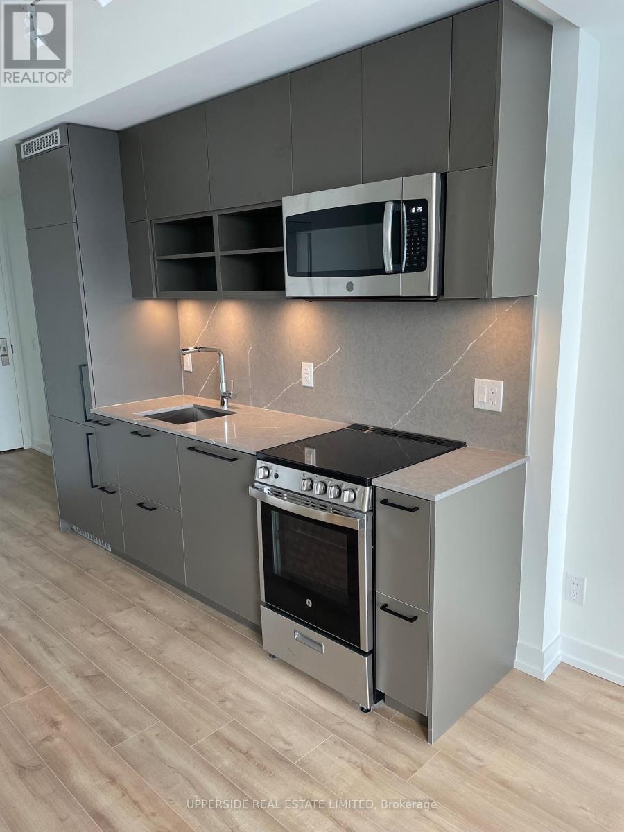 1613 - 135 East Liberty Street, Toronto, Ontario  M6K 3K4 - Photo 4 - C13629246