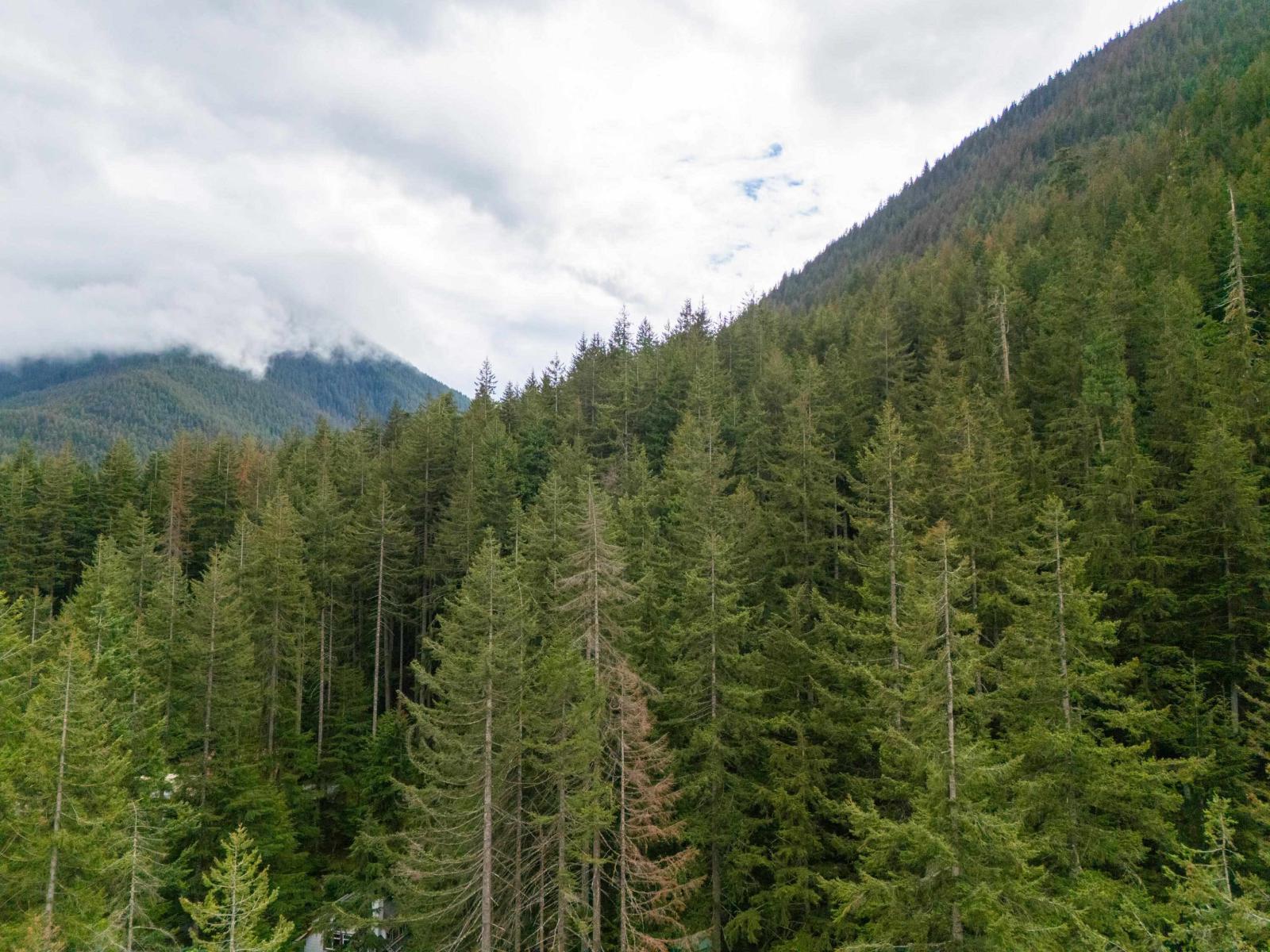 15011 Root Roundabout Road, Sunshine Valley, Sunshine Valley, British Columbia  V0X 1L5 - Photo 36 - R3150441