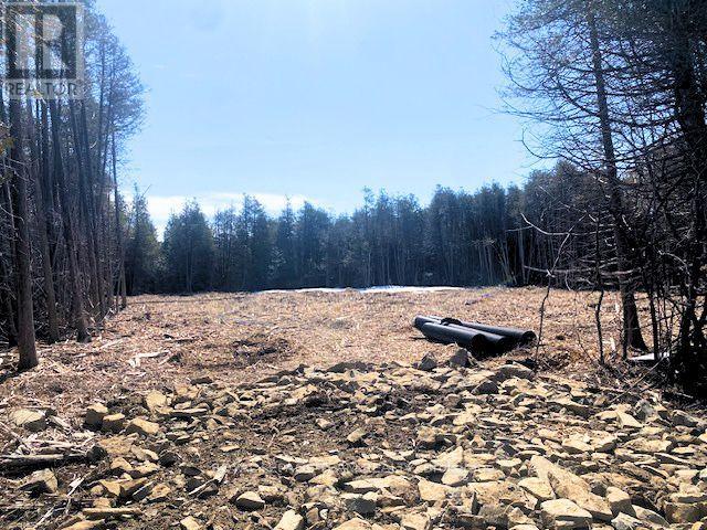 Lt 2 Armstrong Road, Merrickville-Wolford, Ontario  K0G 1N0 - Photo 3 - X13451280