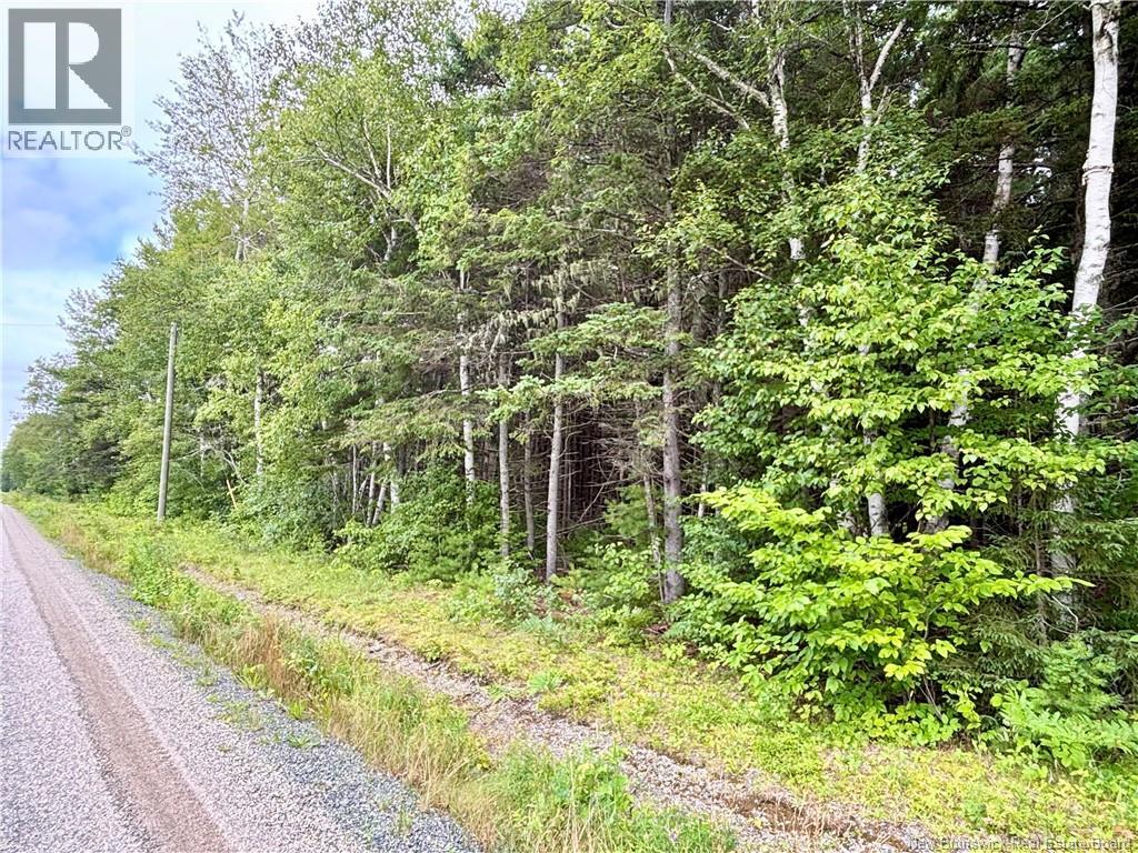 5 Acres Burnt Church Road, Burnt Church, New Brunswick E9G 1Z6 - Photo 3 - NB145147