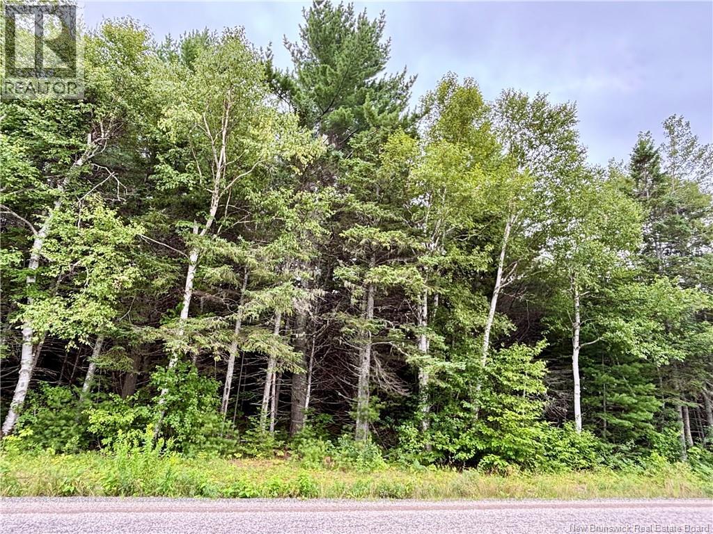 5 Acres Burnt Church Road, Burnt Church, New Brunswick E9G 1Z6 - Photo 2 - NB145147