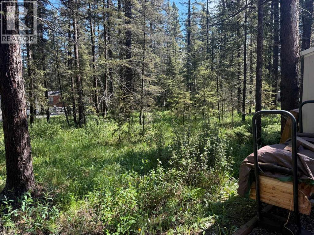 29 Timber Trail, 5230 27 Highway, Rural Mountain View County, Alberta  T0M 1X0 - Photo 31 - A2317815