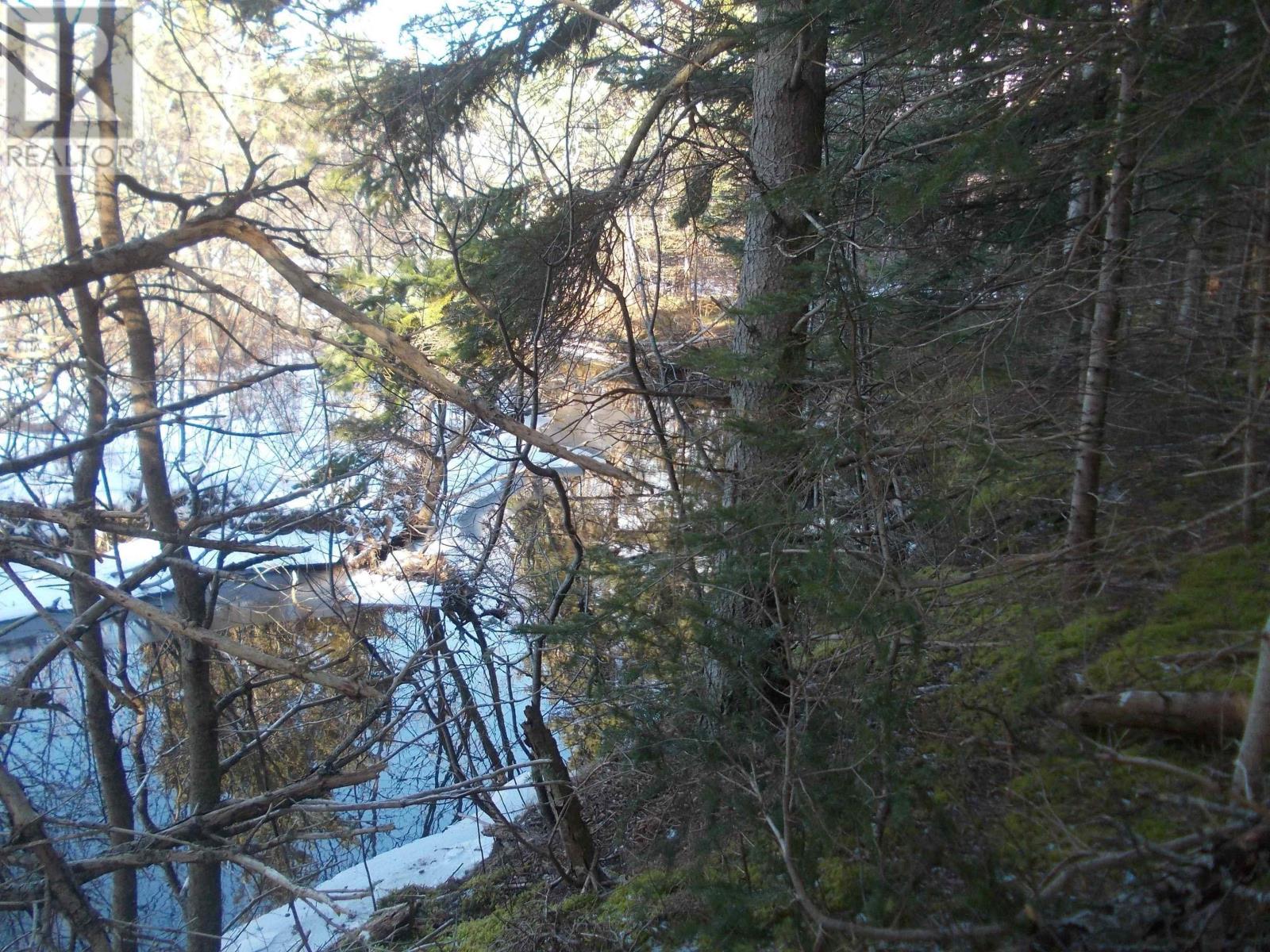 picture 1