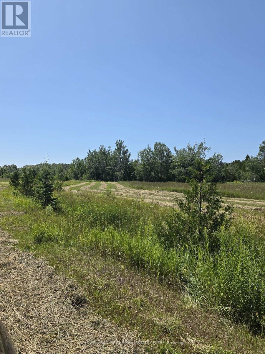 N/a Government Road W, Tehkummah, Ontario  P0P 2C0 - Photo 4 - X13629464