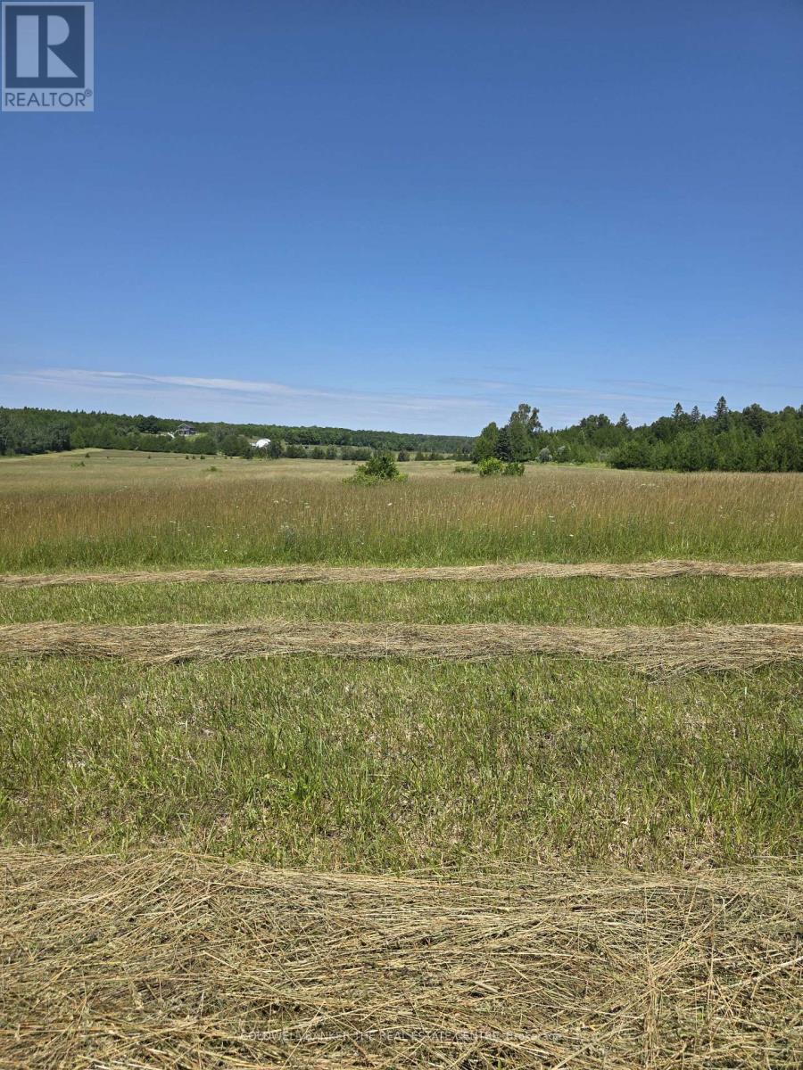 N/a Government Road W, Tehkummah, Ontario  P0P 2C0 - Photo 5 - X13629464