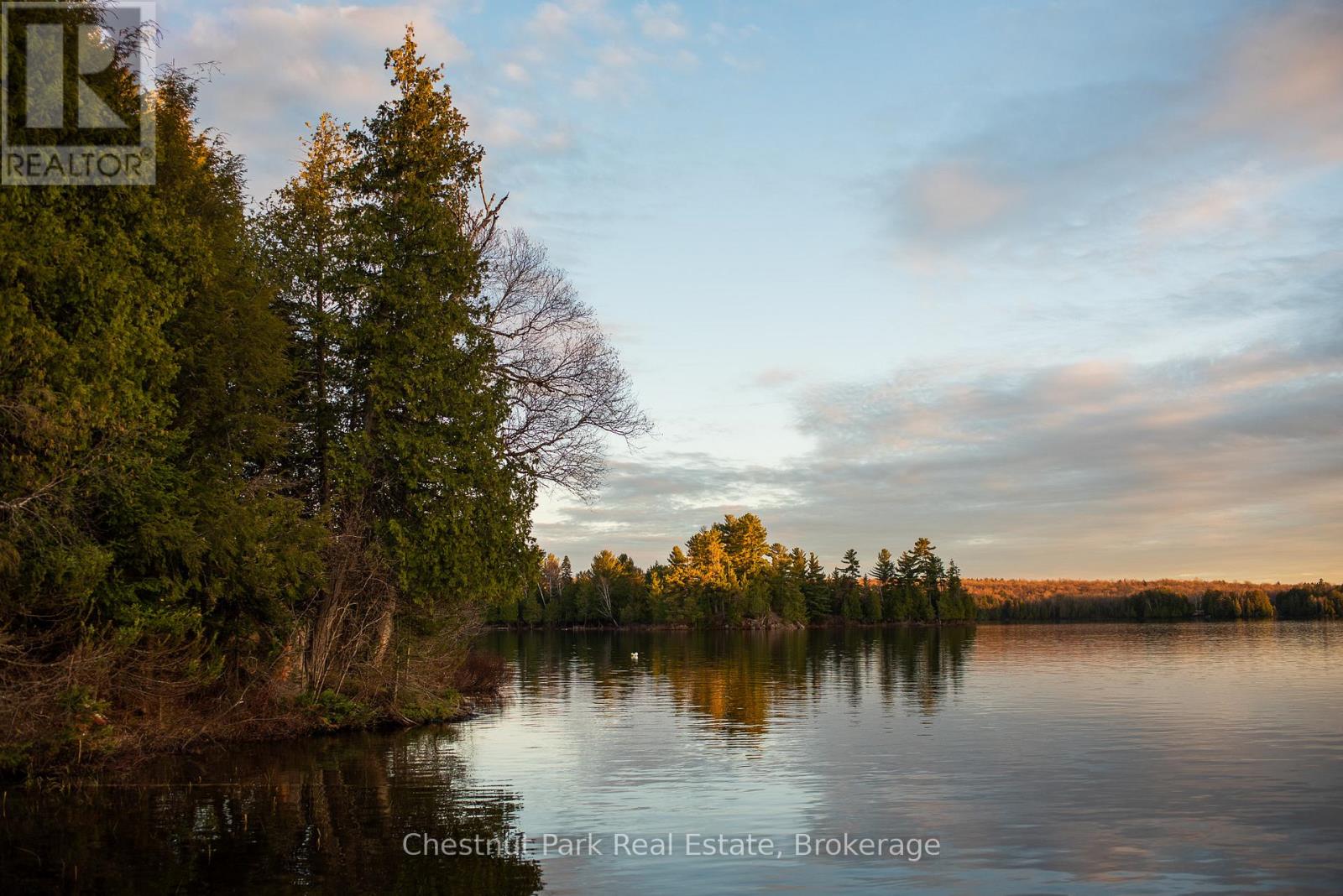 9 Jeffery Road, Parry Sound Remote Area, Ontario  P0A 1X0 - Photo 46 - X13134608