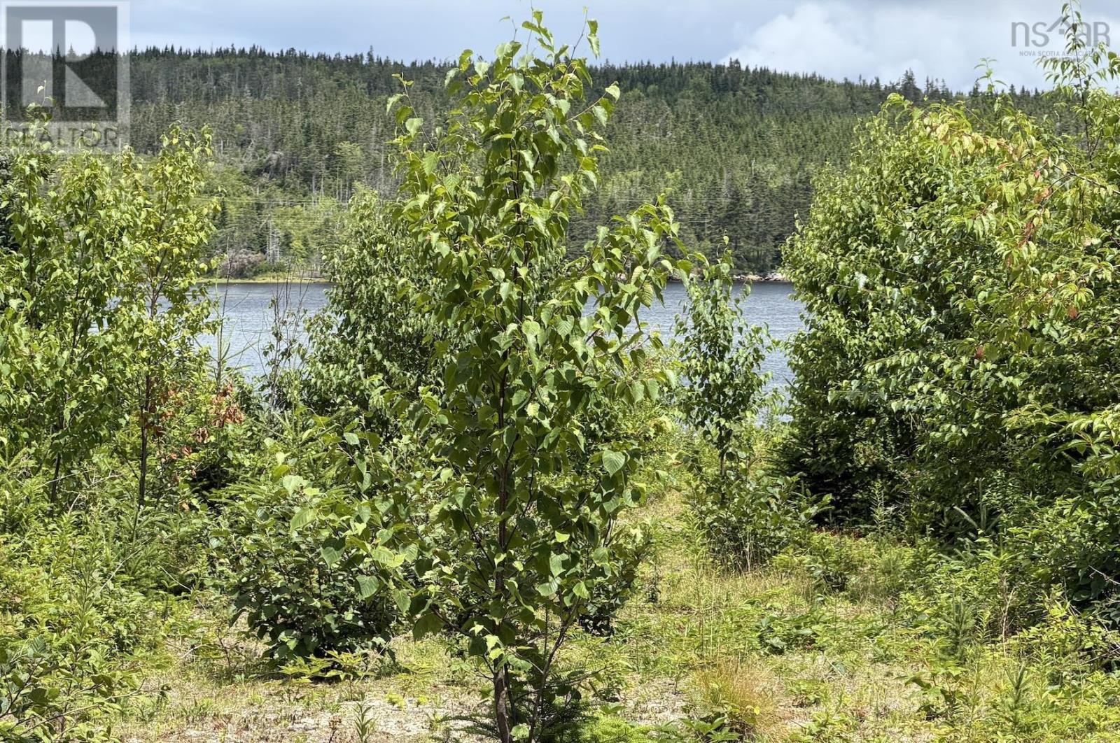 Lot 09-2 West Liscomb Point Road, Liscomb Mills, Nova Scotia