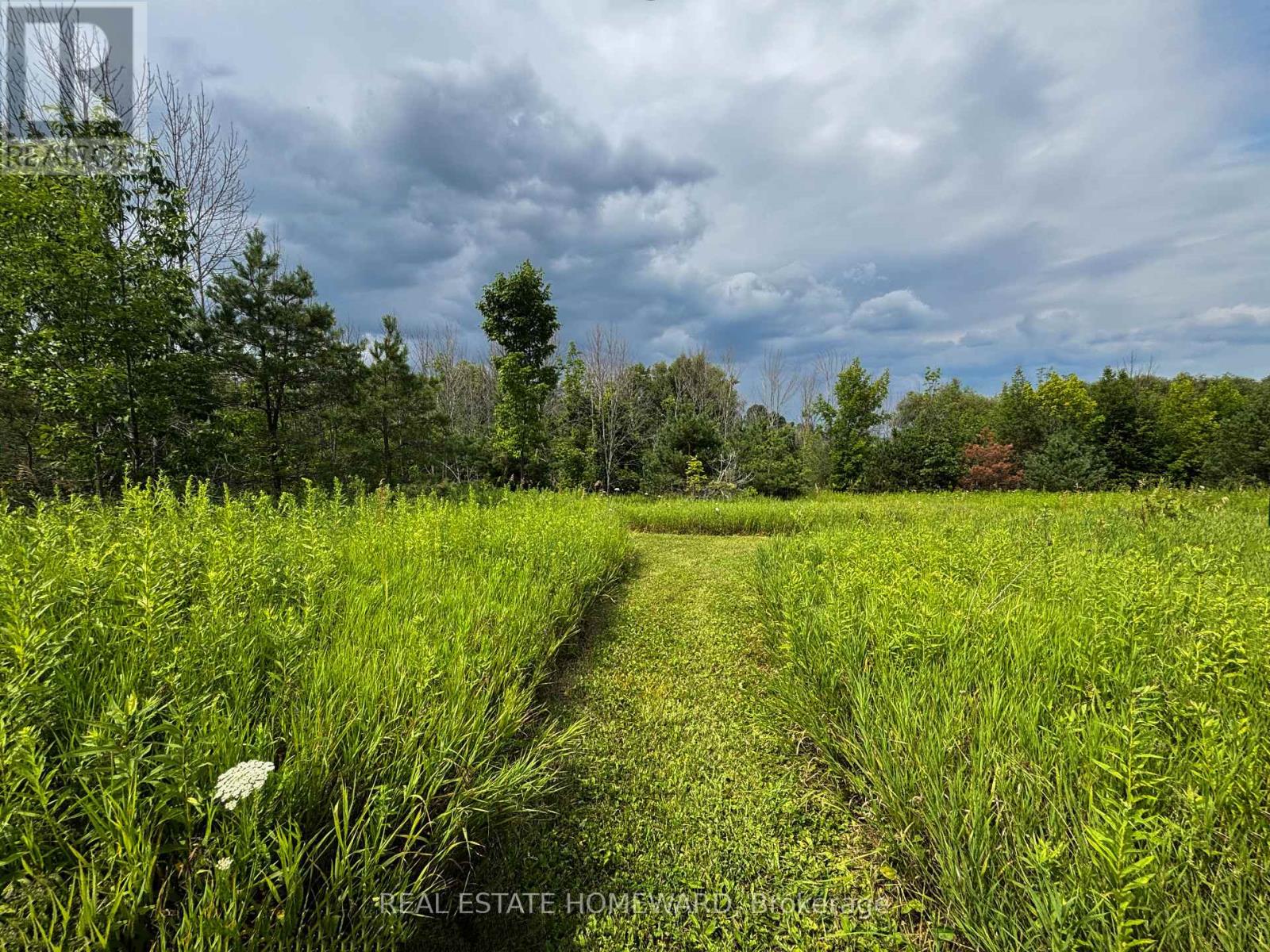 937082 Airport Road W, Mulmur, Ontario  L9V 0L6 - Photo 14 - X13607006