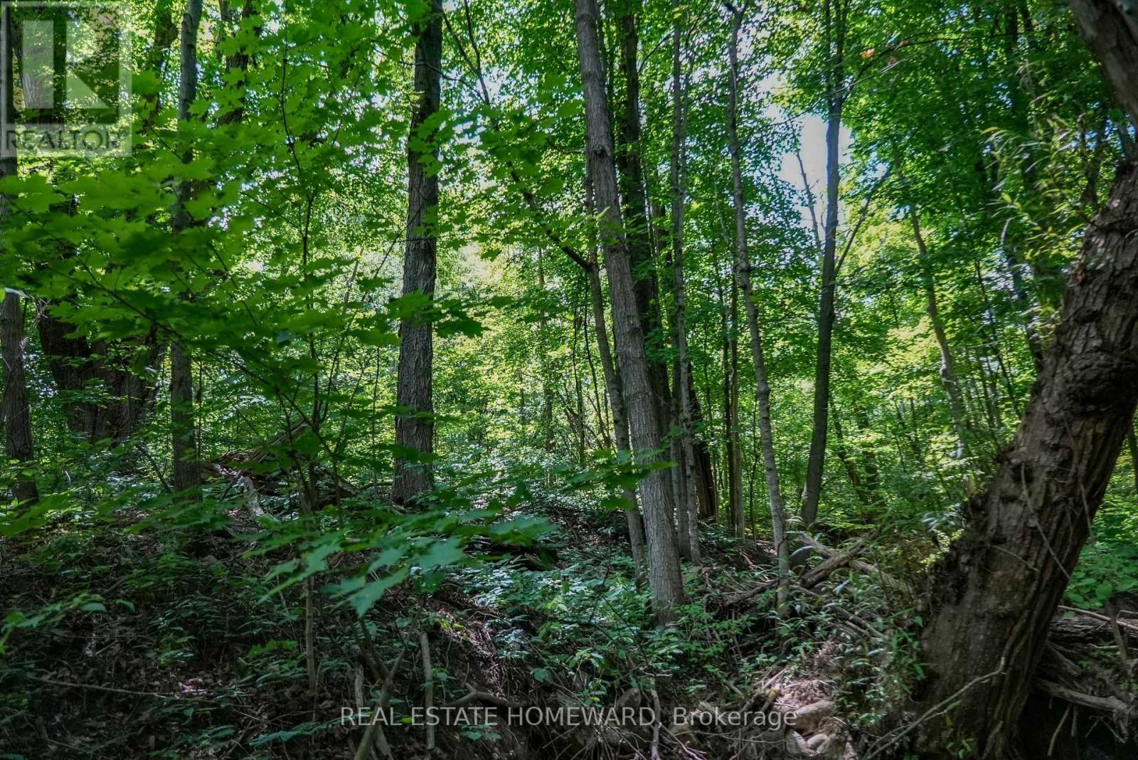 937082 Airport Road W, Mulmur, Ontario  L9V 0L6 - Photo 18 - X13607006
