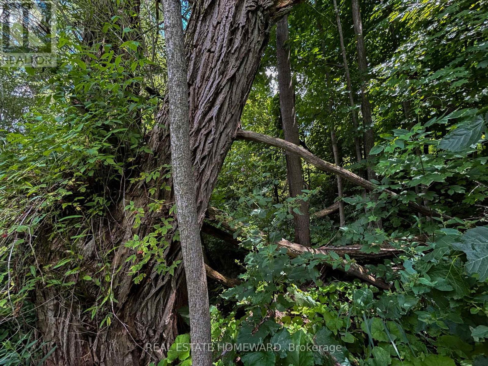 937082 Airport Road W, Mulmur, Ontario  L9V 0L6 - Photo 19 - X13607006