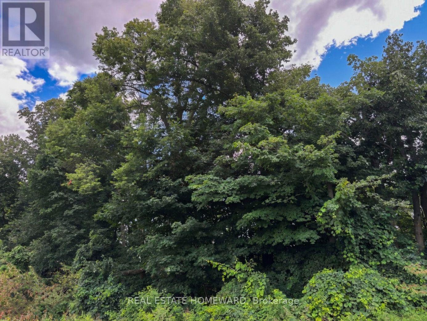 937082 Airport Road W, Mulmur, Ontario  L9V 0L6 - Photo 22 - X13607006
