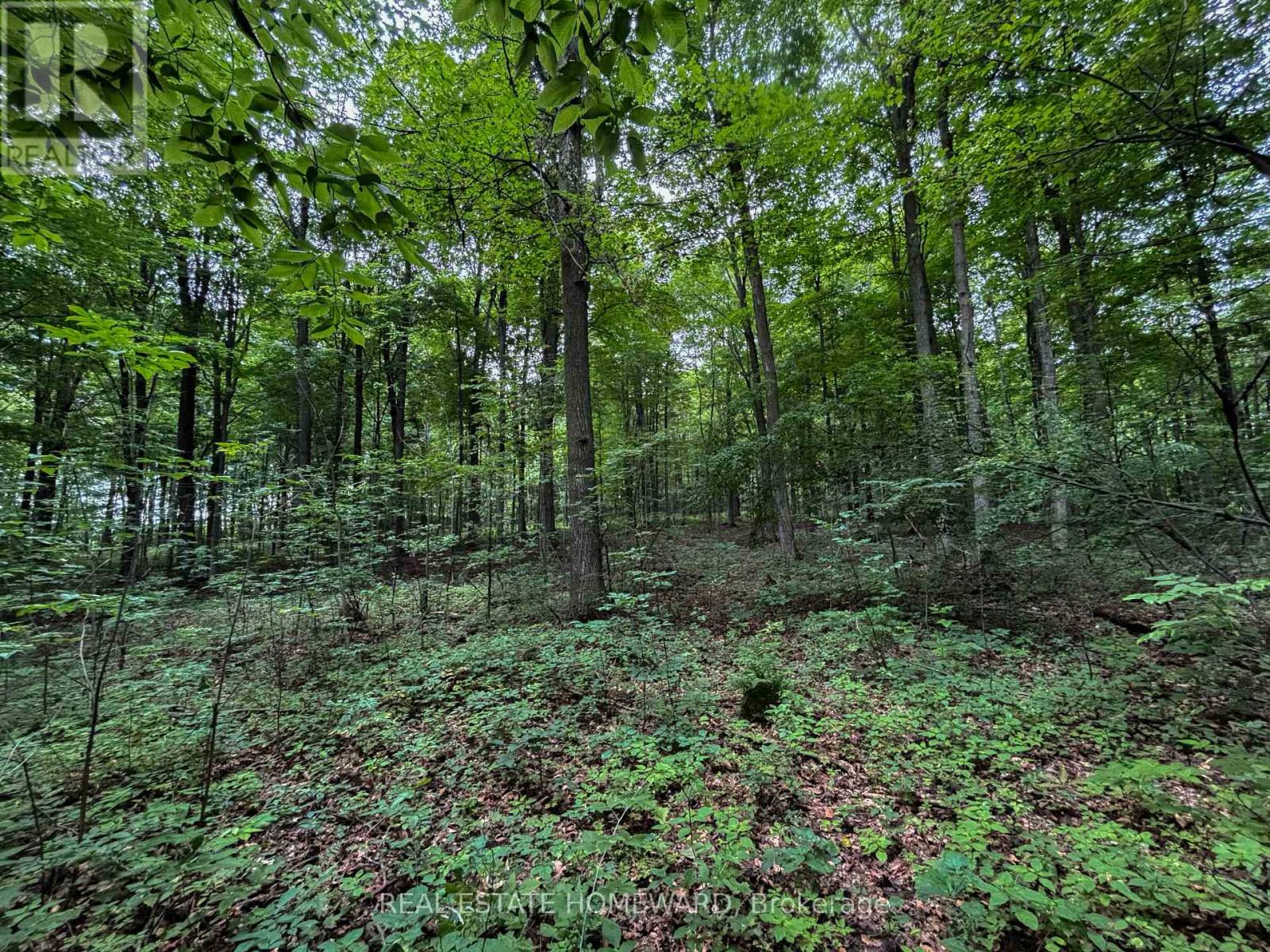 937082 Airport Road W, Mulmur, Ontario  L9V 0L6 - Photo 24 - X13607006