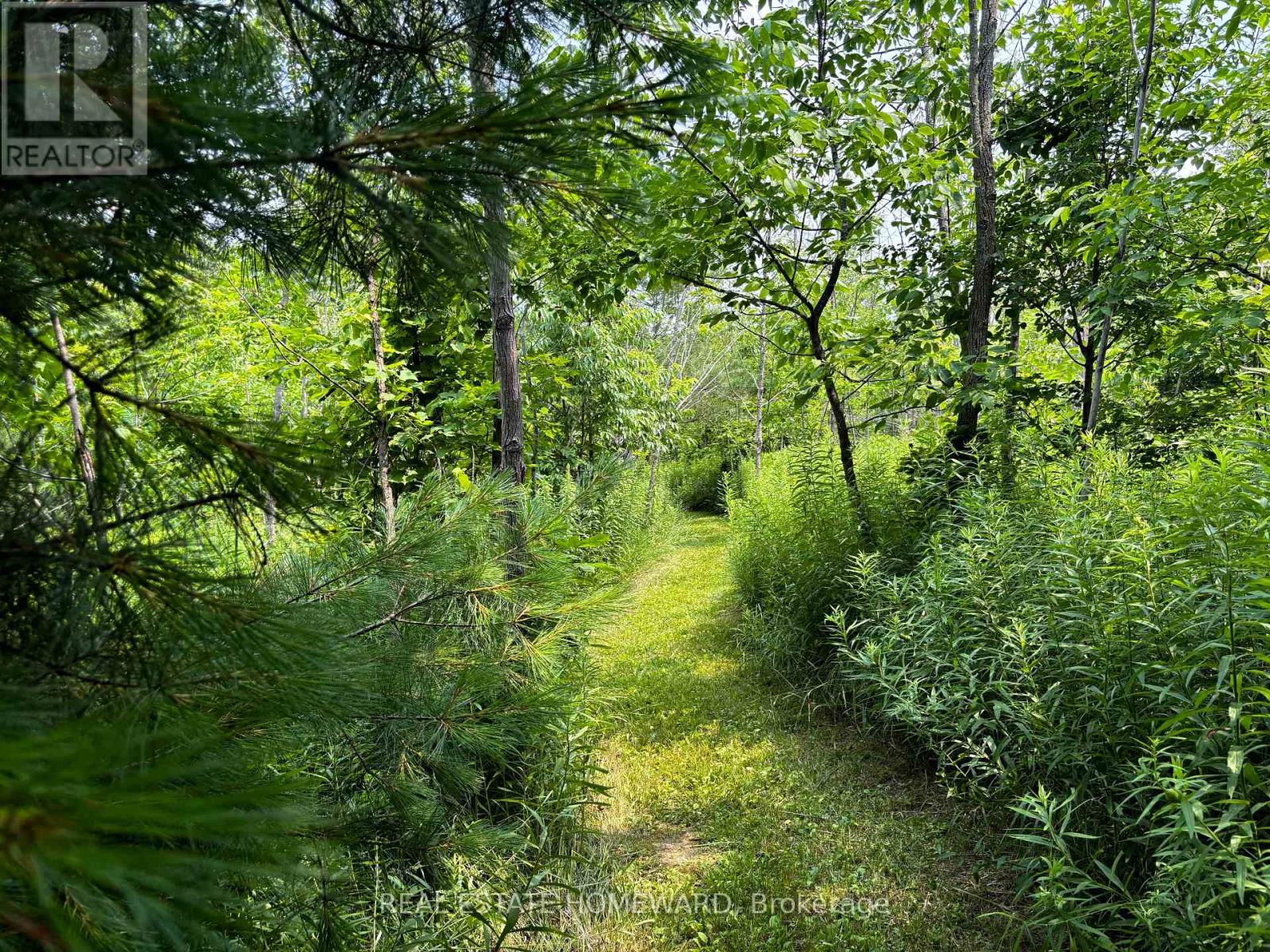 937082 Airport Road W, Mulmur, Ontario  L9V 0L6 - Photo 30 - X13607006