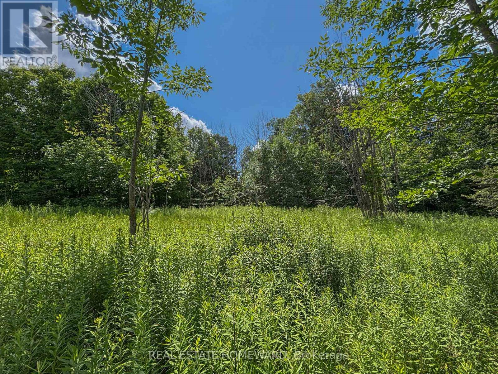 937082 Airport Road W, Mulmur, Ontario  L9V 0L6 - Photo 31 - X13607006