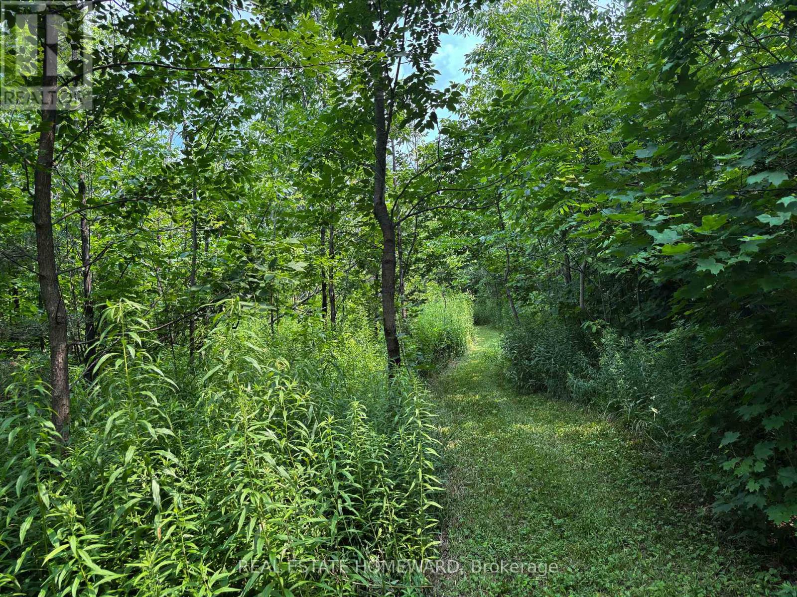937082 Airport Road W, Mulmur, Ontario  L9V 0L6 - Photo 40 - X13607006