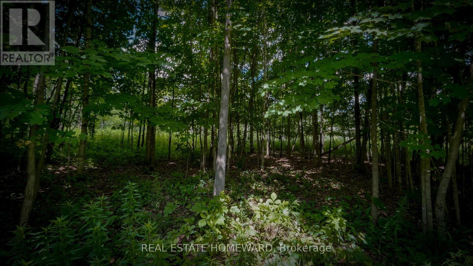 937082 Airport Road W, Mulmur, Ontario  L9V 0L6 - Photo 33 - X13607006