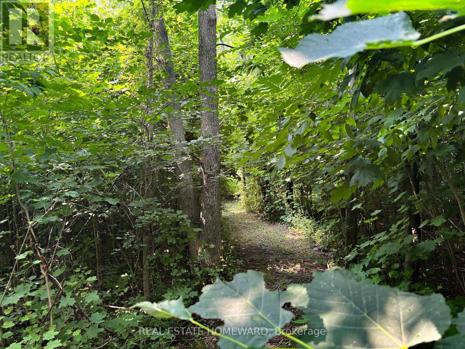 937082 Airport Road W, Mulmur, Ontario  L9V 0L6 - Photo 38 - X13607006