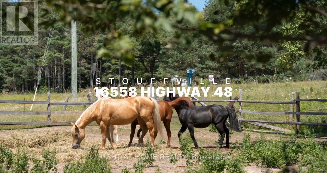 16558 HIGHWAY 48, Whitchurch-Stouffville, Ontario