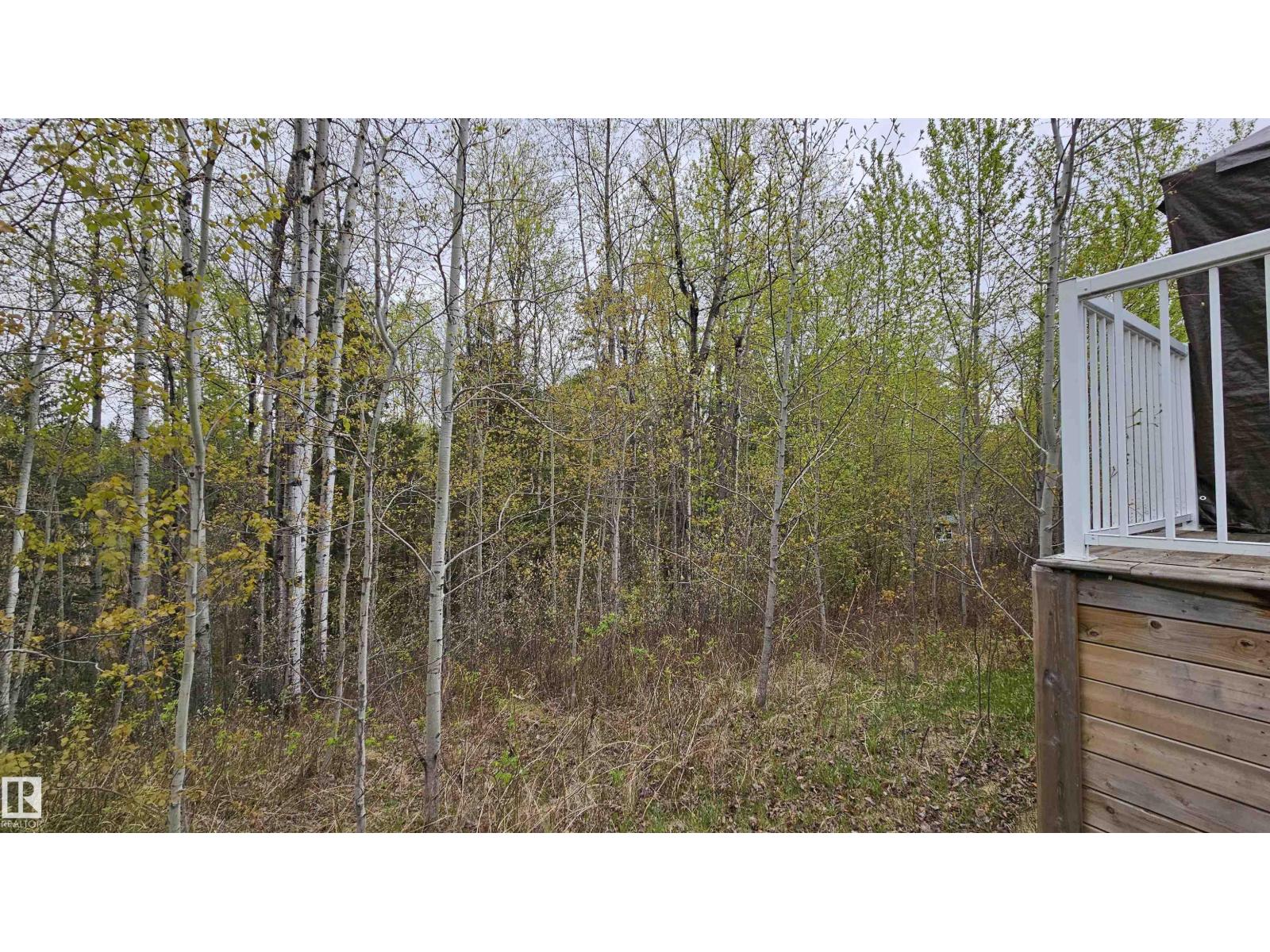 7 Andrew Dr, Rural Athabasca County, Alberta  T0A 0M0 - Photo 44 - E4501819