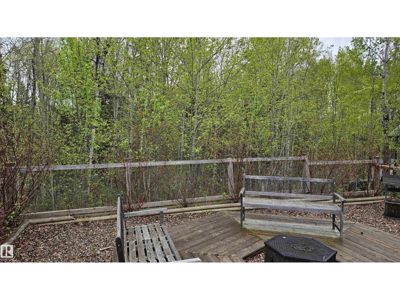 7 Andrew Dr, Rural Athabasca County, Alberta  T0A 0M0 - Photo 53 - E4501819