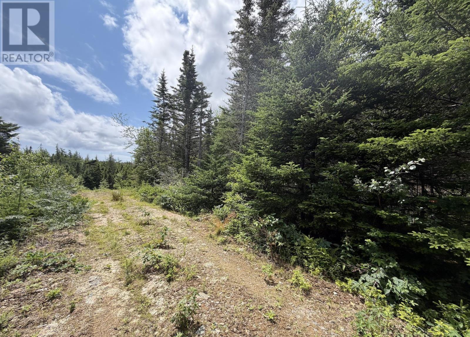 Lot 09-2 West Liscomb Point Road, Liscomb Mills, Nova Scotia B0J 2A0 - Photo 3 - 202619330