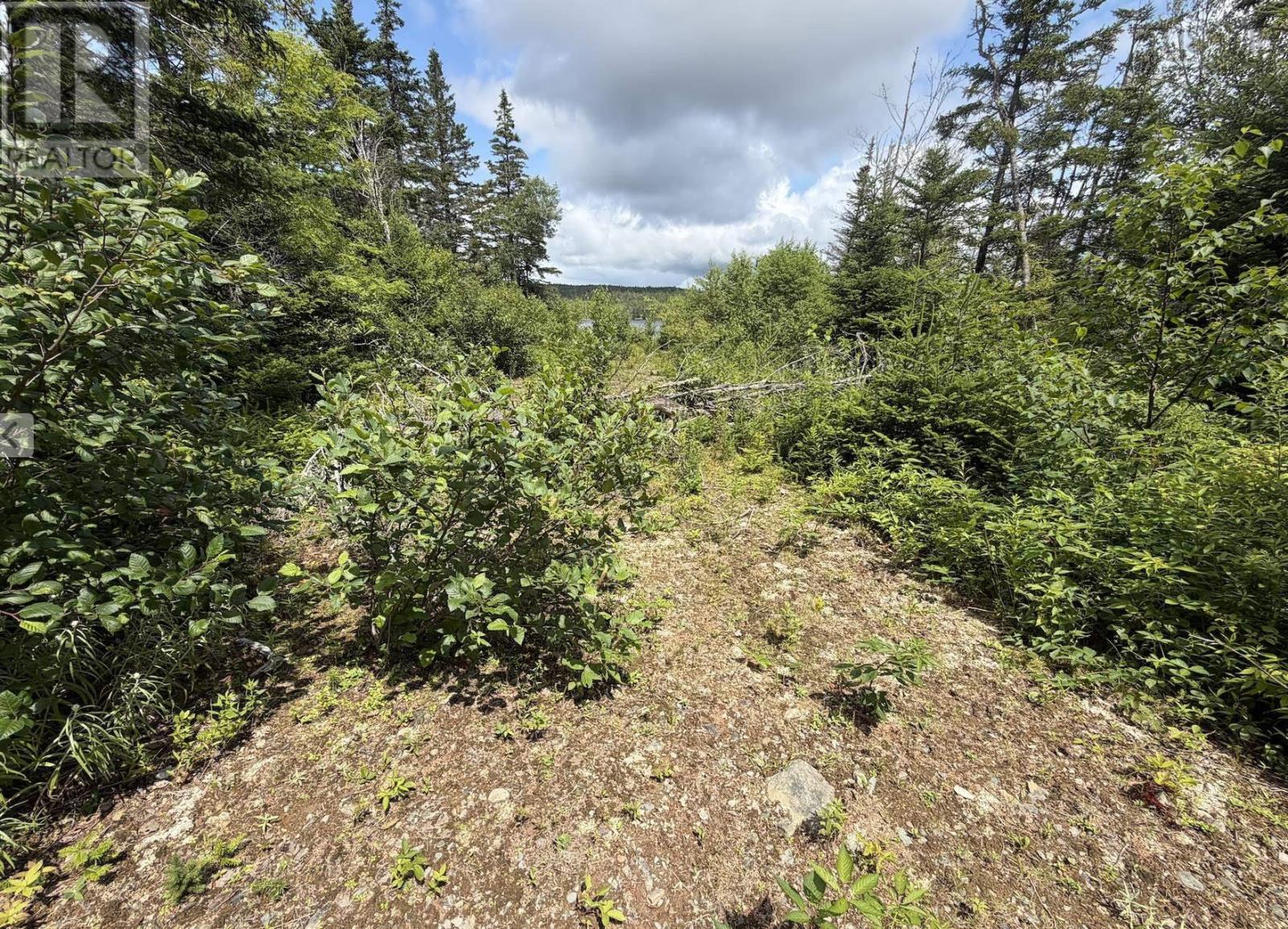 Lot 09-2 West Liscomb Point Road, Liscomb Mills, Nova Scotia B0J 2A0 - Photo 5 - 202619330