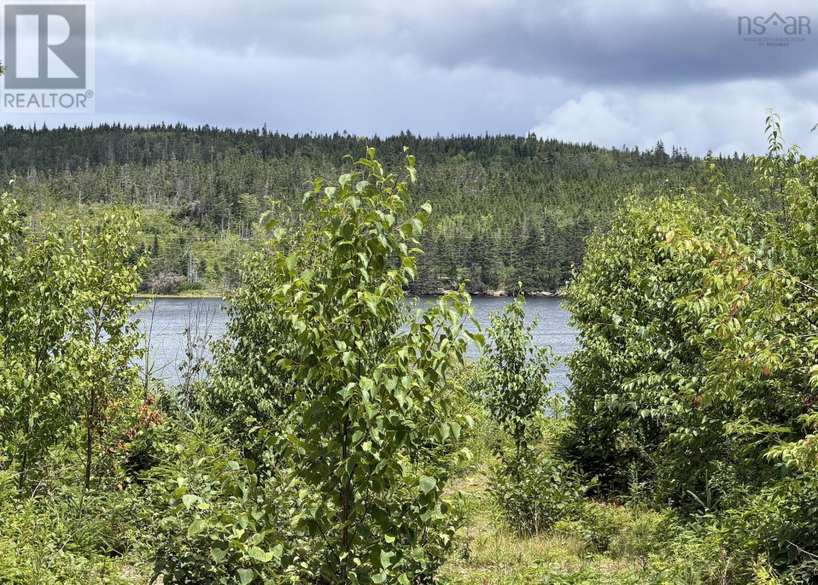 Lot 09-2 West Liscomb Point Road, Liscomb Mills, Nova Scotia B0J 2A0 - Photo 2 - 202619330