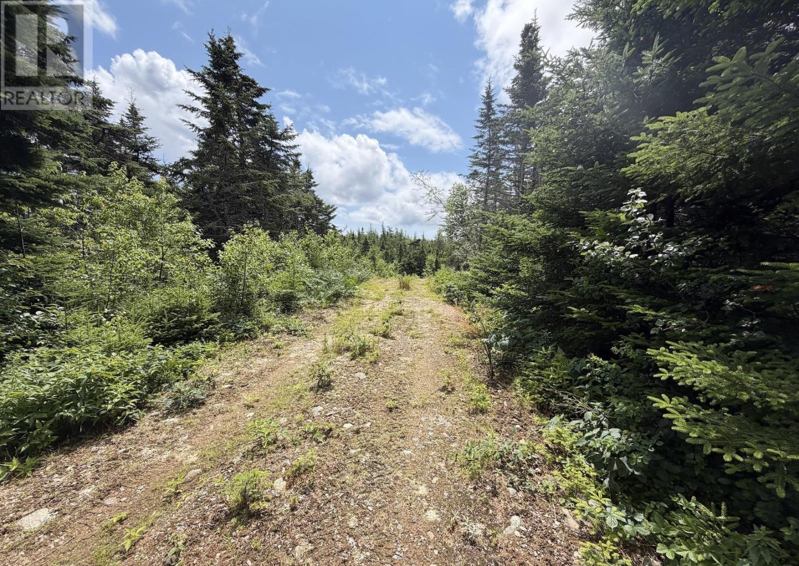 Lot 09-2 West Liscomb Point Road, Liscomb Mills, Nova Scotia B0J 2A0 - Photo 4 - 202619330