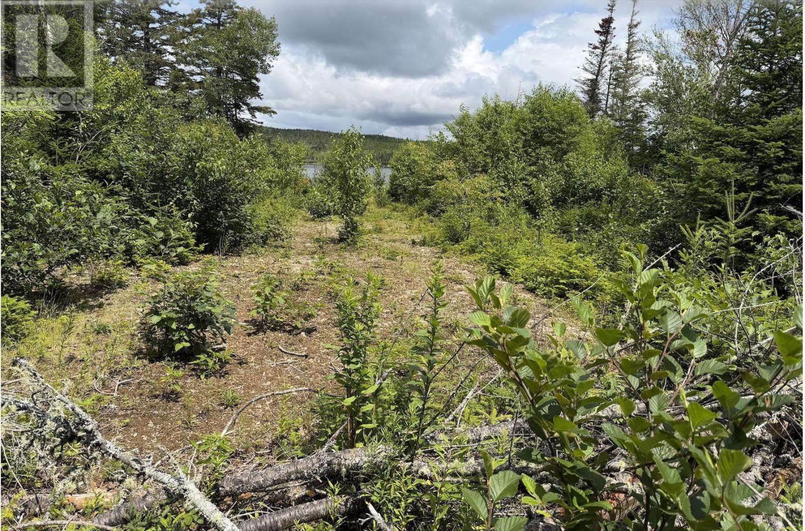 Lot 09-2 West Liscomb Point Road, Liscomb Mills, Nova Scotia B0J 2A0 - Photo 6 - 202619330