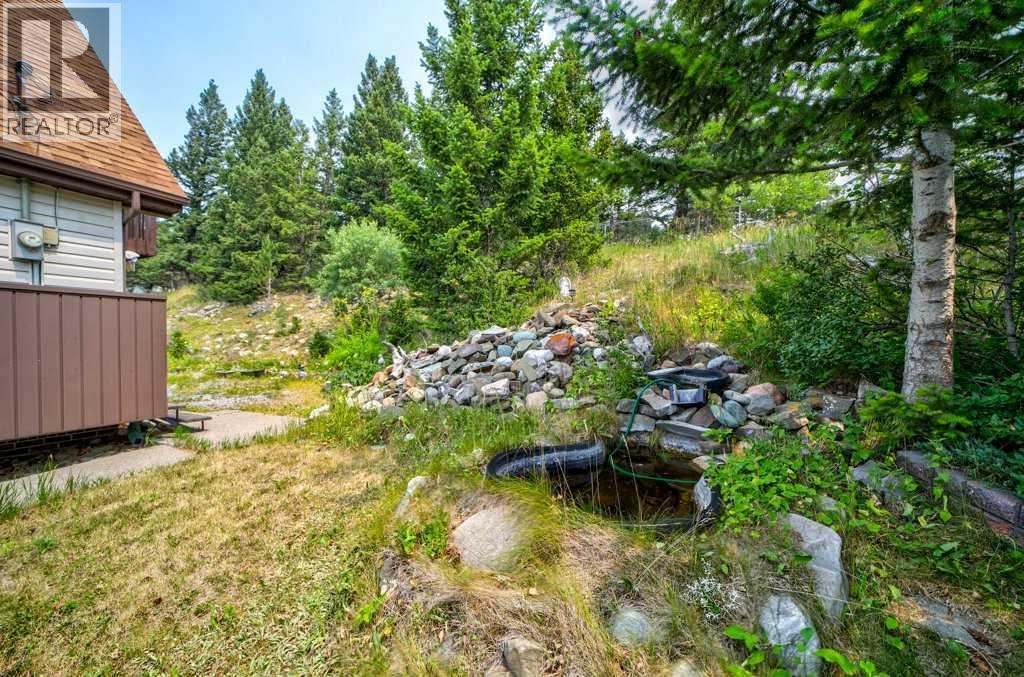2118 210 Street, Bellevue, Alberta  T0K 0C0 - Photo 44 - A2330613