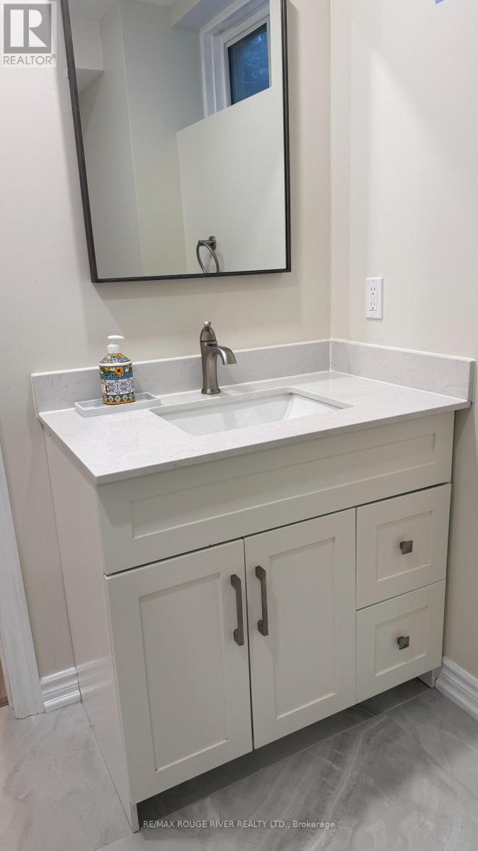 Basement - 38 Hettersley Drive, Ajax, Ontario  L1T 1S1 - Photo 5 - E13629854