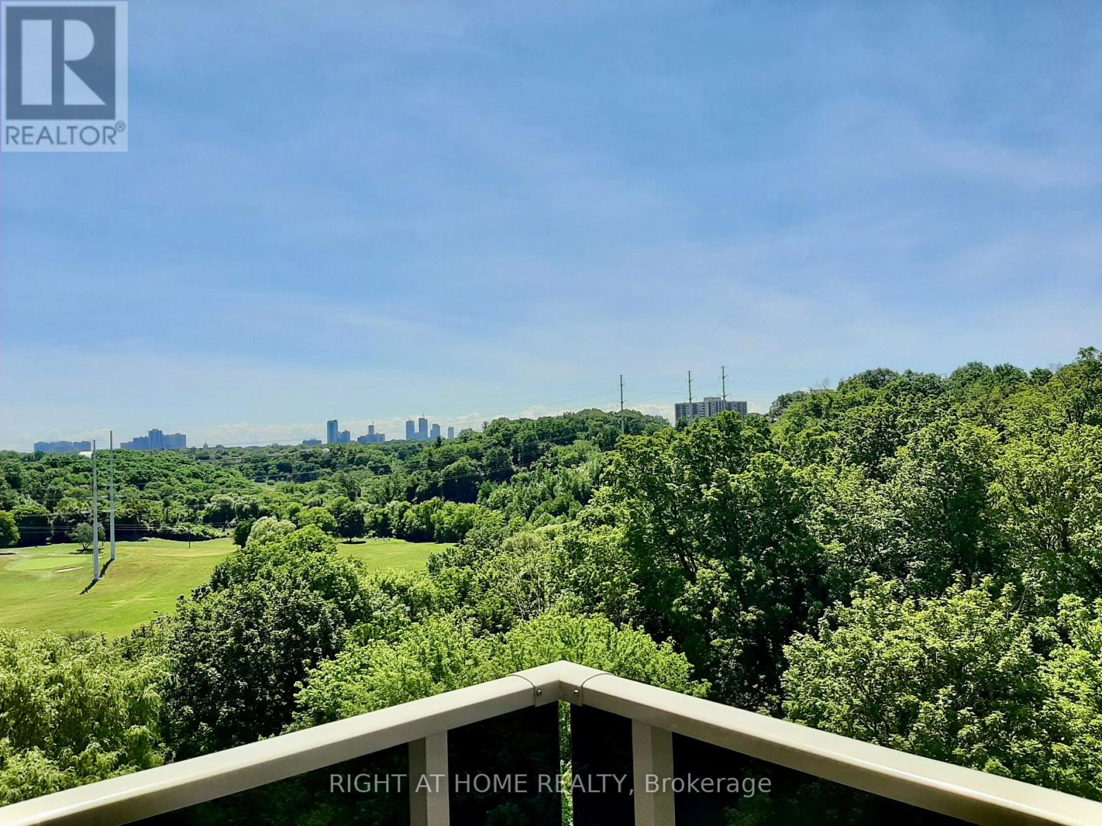 1008 - 20 Edgecliff Golfway, Toronto, Ontario  M3C 3A4 - Photo 8 - C13615960