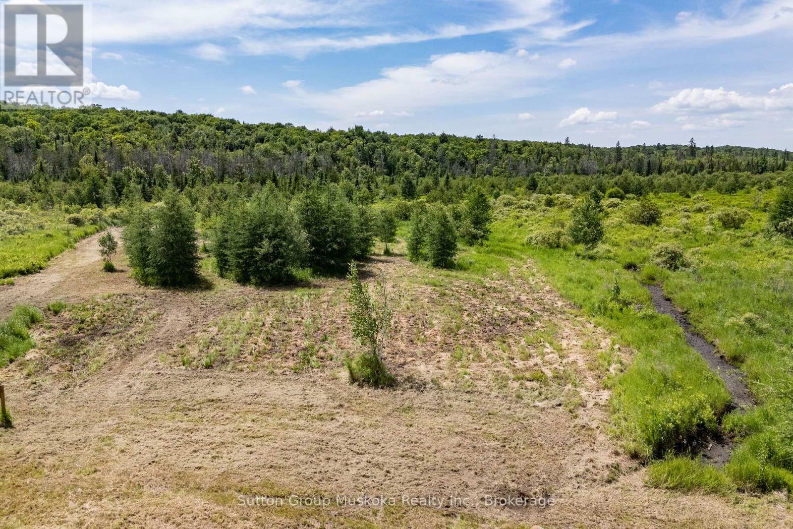 530 Clearwater Lake Road, Huntsville, Ontario  P0B 1L0 - Photo 7 - X13545654