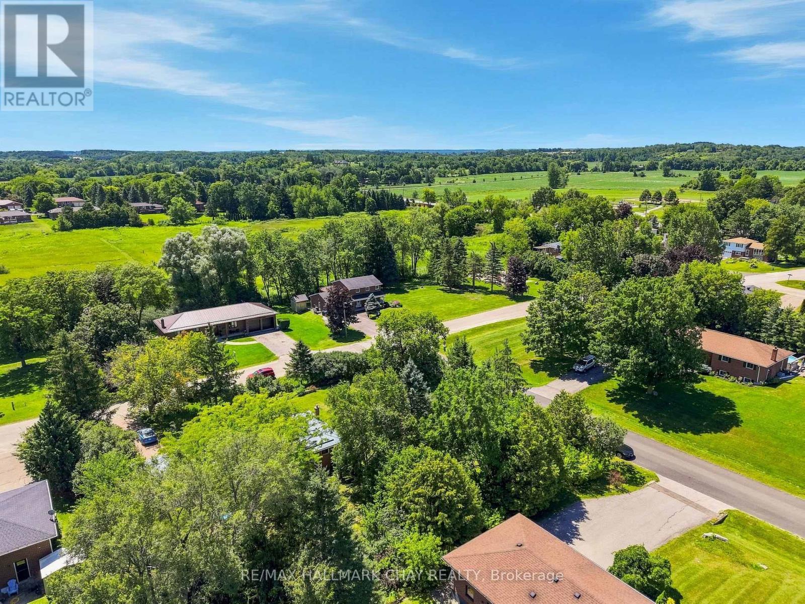 3 John Street, Adjala-Tosorontio, Ontario  L0G 1L0 - Photo 49 - N13630048