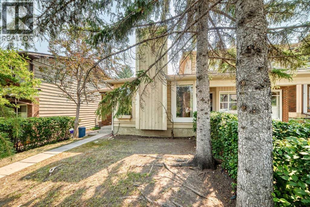 picture 0