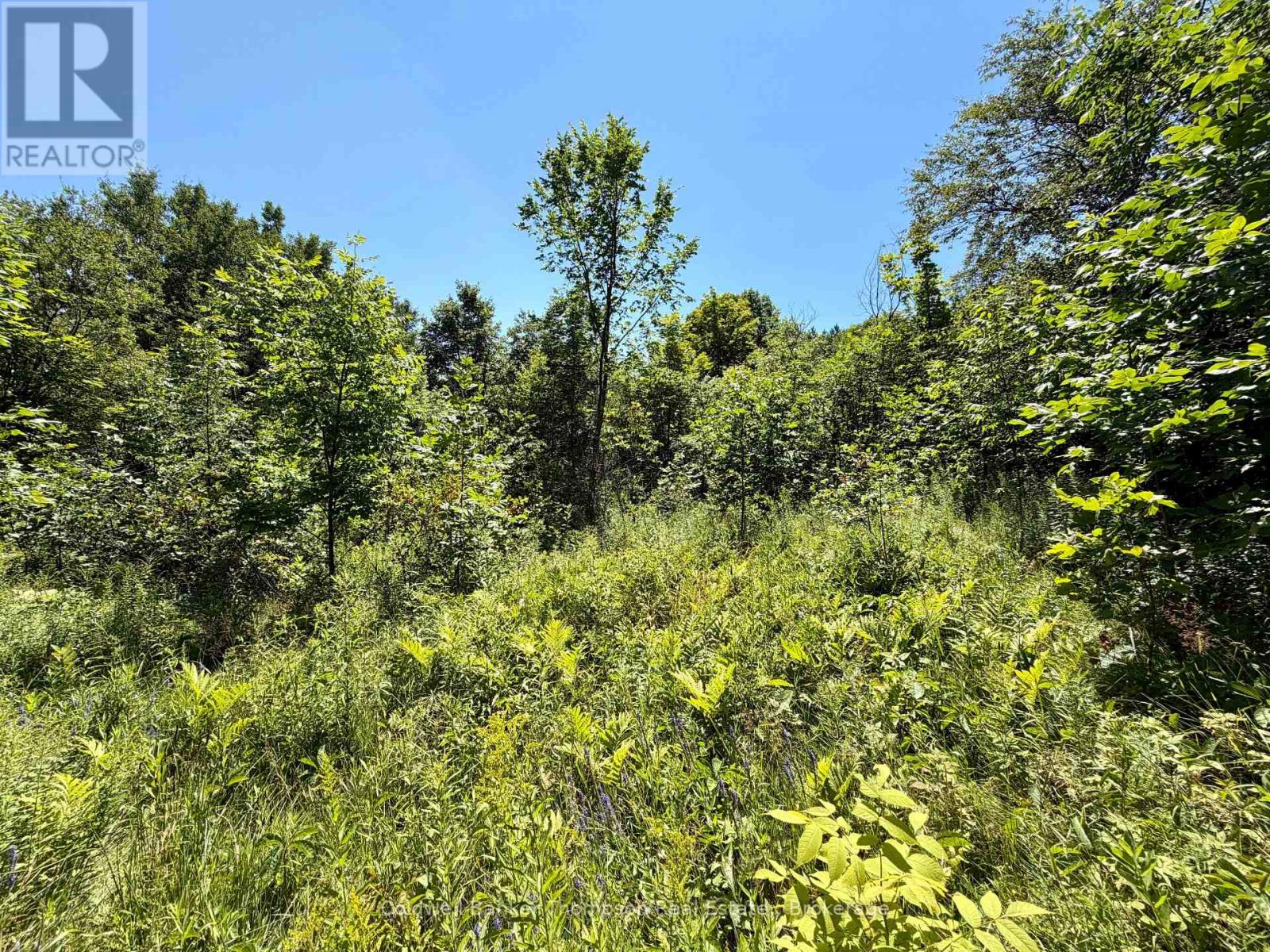 70 Blundell Rd Road S, Parry Sound Remote Area, Ontario  P0H 1Y0 - Photo 10 - X13630282