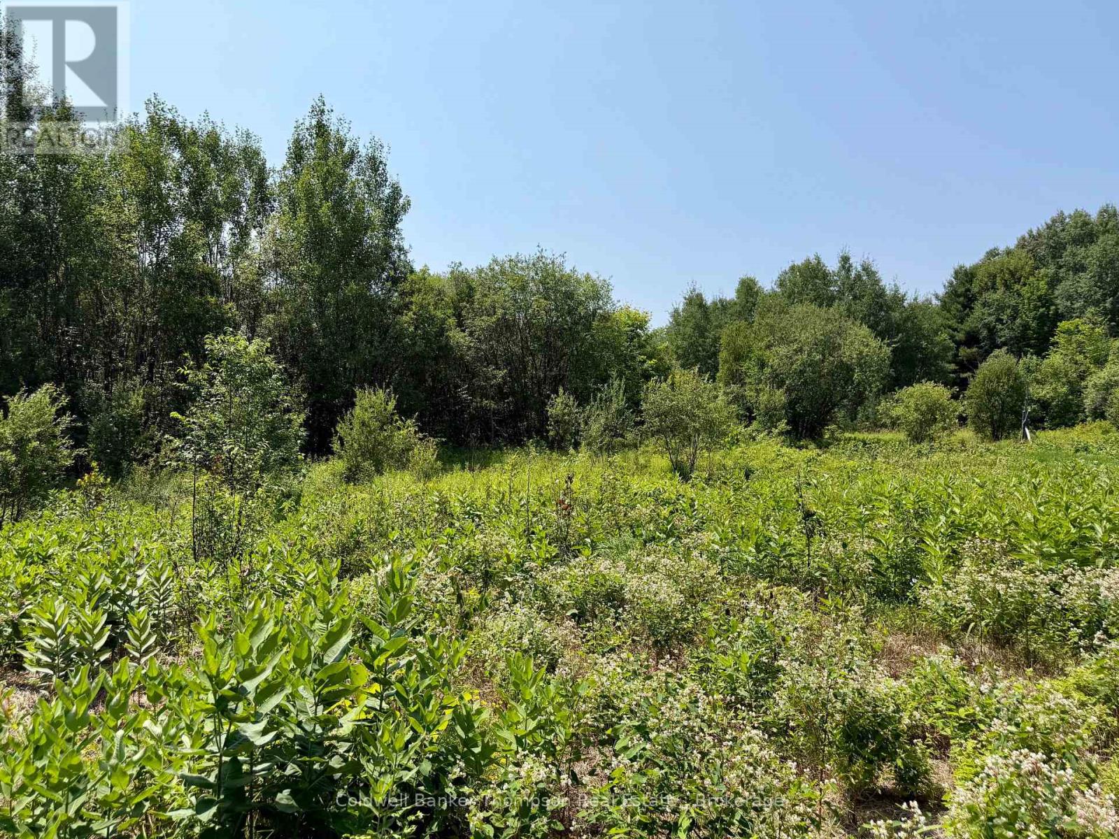 70 Blundell Rd Road S, Parry Sound Remote Area, Ontario  P0H 1Y0 - Photo 15 - X13630282