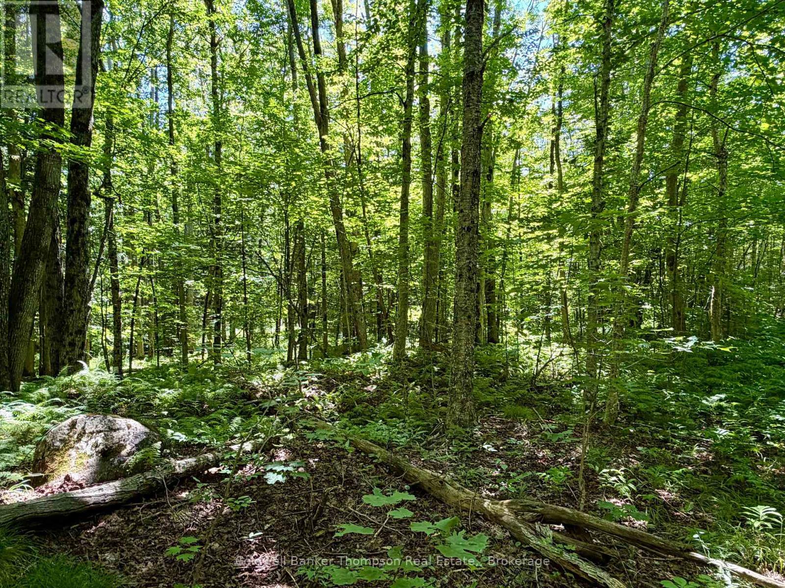 70 Blundell Rd Road S, Parry Sound Remote Area, Ontario  P0H 1Y0 - Photo 18 - X13630282