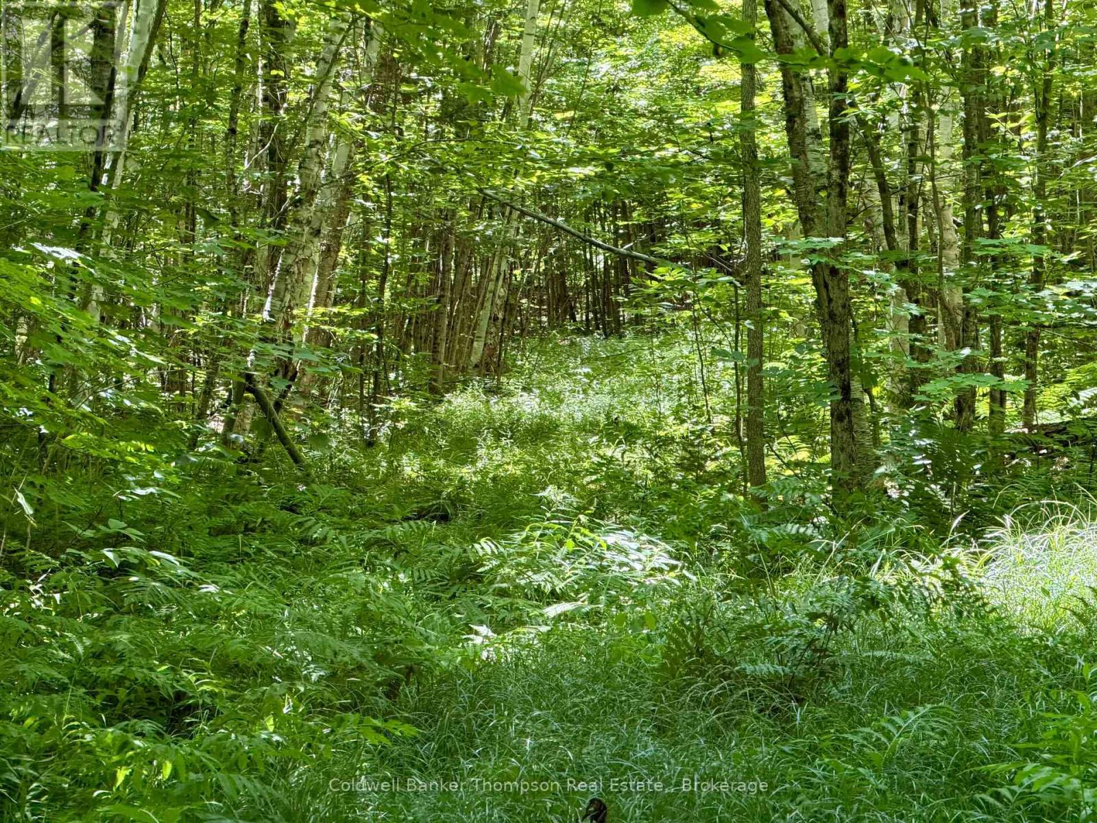 70 Blundell Rd Road S, Parry Sound Remote Area, Ontario  P0H 1Y0 - Photo 19 - X13630282