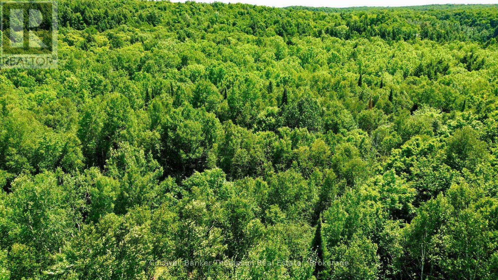 70 Blundell Rd Road S, Parry Sound Remote Area, Ontario  P0H 1Y0 - Photo 31 - X13630282