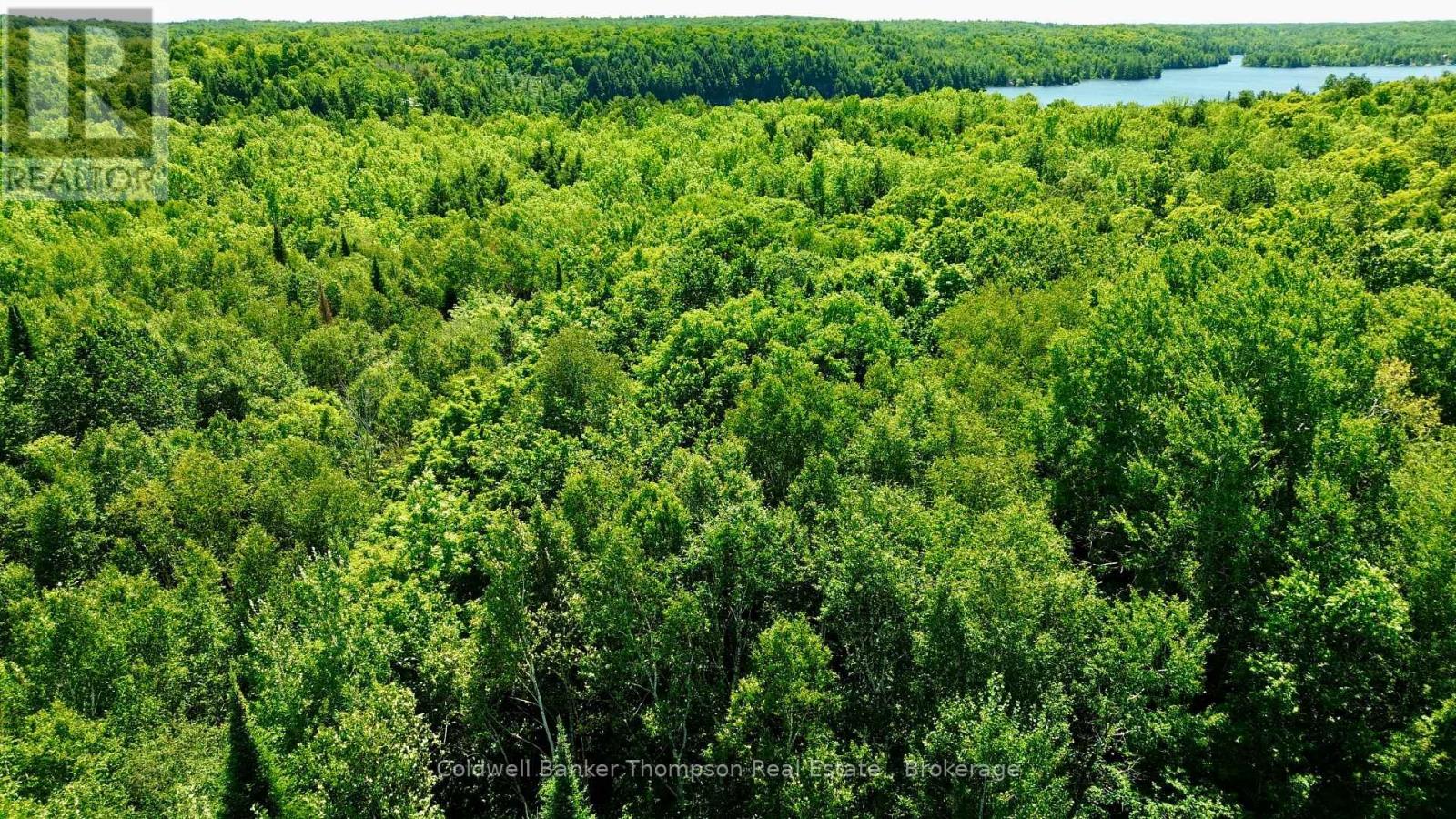 70 Blundell Rd Road S, Parry Sound Remote Area, Ontario  P0H 1Y0 - Photo 32 - X13630282