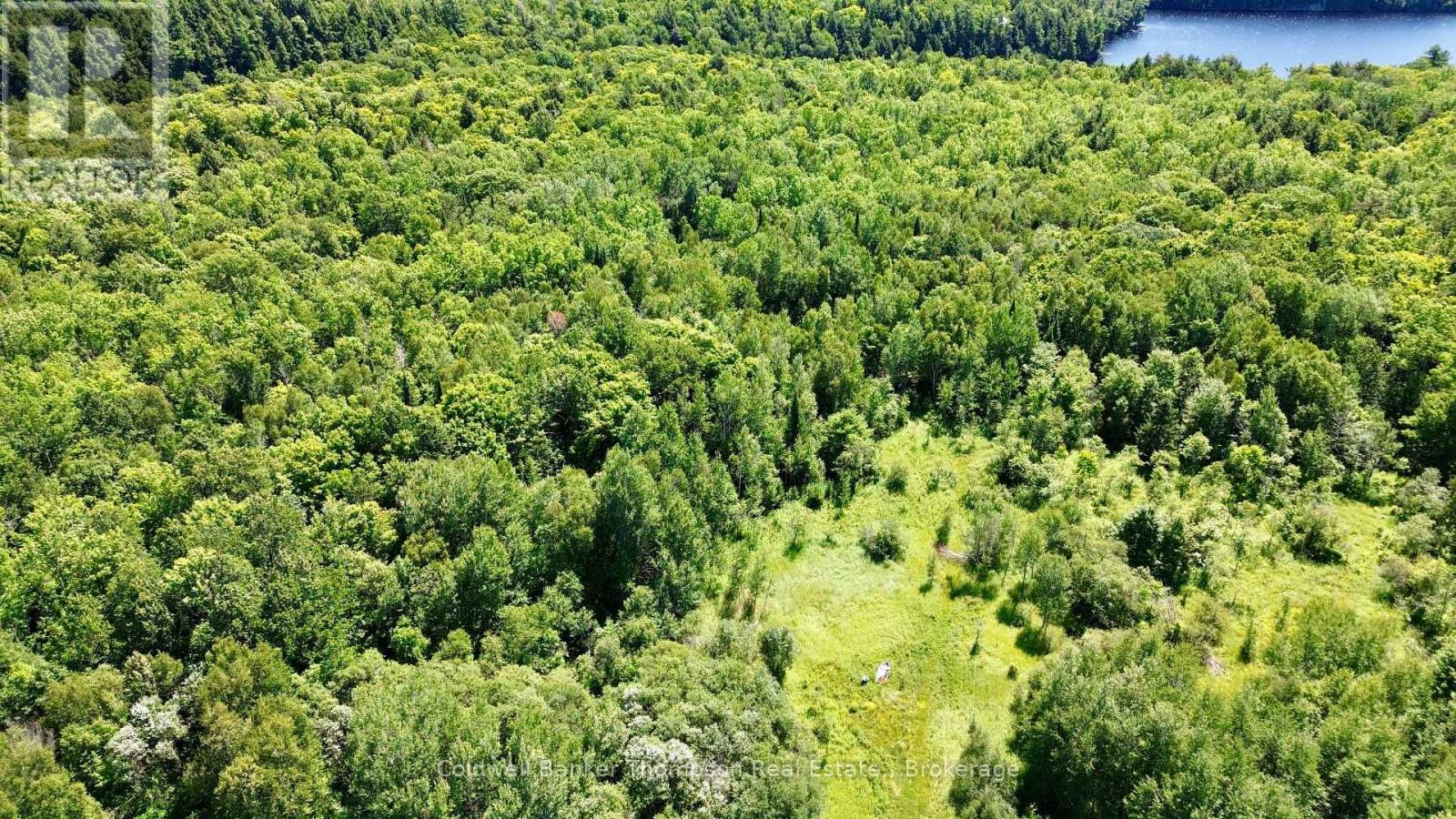 70 Blundell Rd Road S, Parry Sound Remote Area, Ontario  P0H 1Y0 - Photo 36 - X13630282
