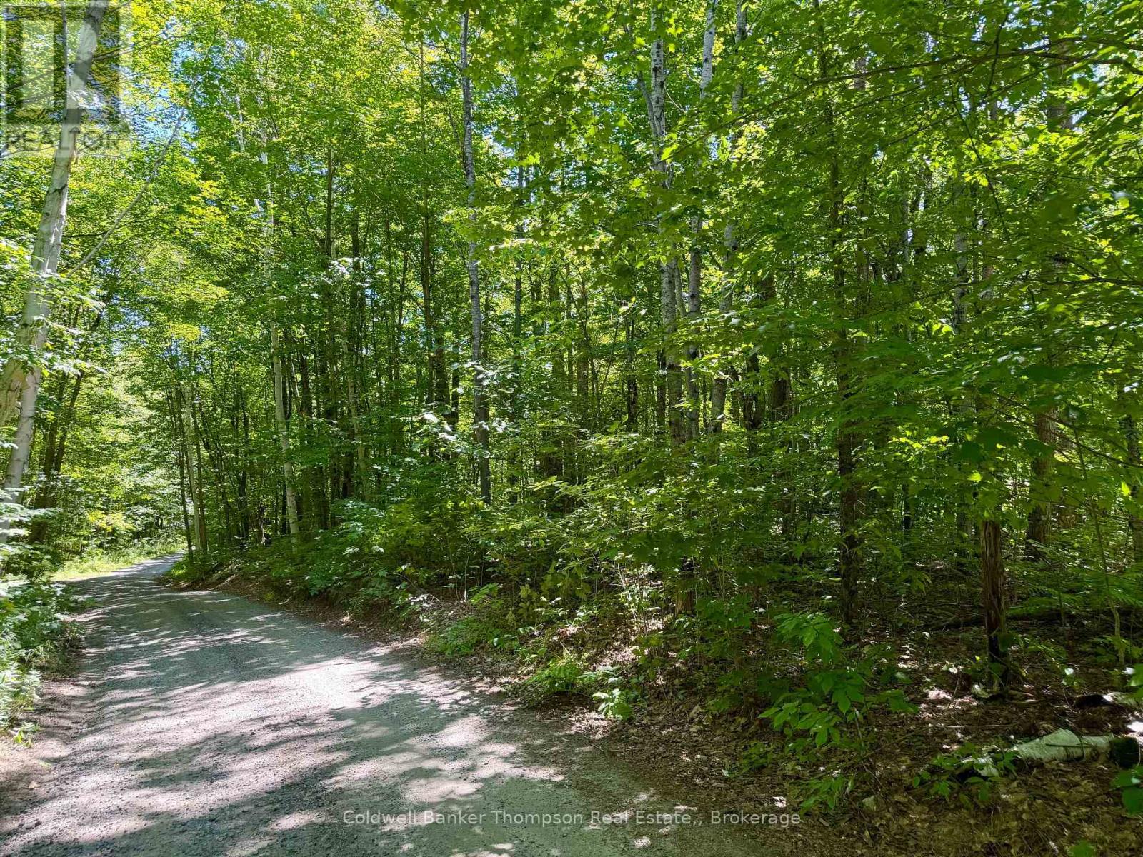 70 Blundell Rd Road S, Parry Sound Remote Area, Ontario  P0H 1Y0 - Photo 6 - X13630282
