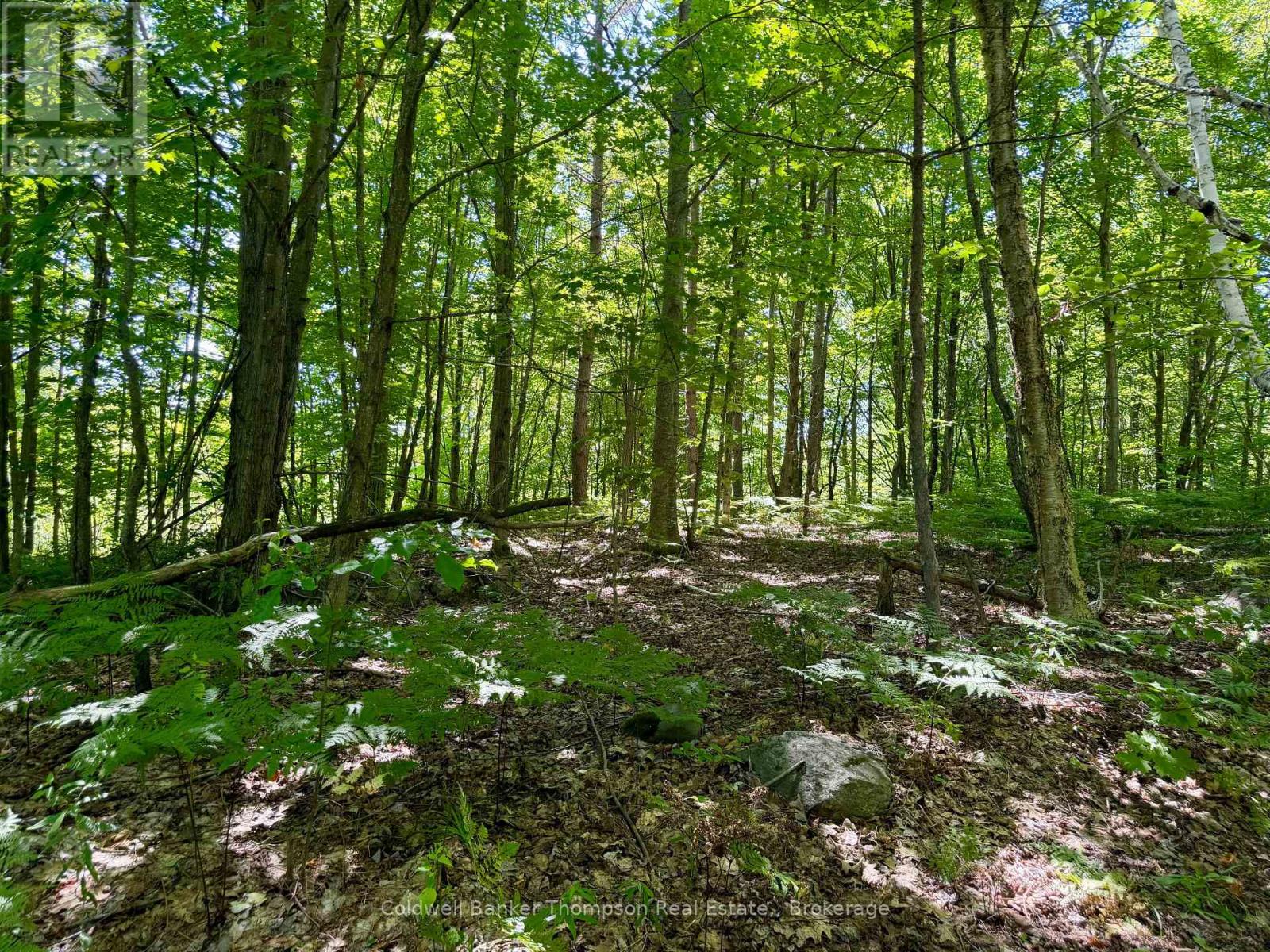 70 Blundell Rd Road S, Parry Sound Remote Area, Ontario  P0H 1Y0 - Photo 8 - X13630282