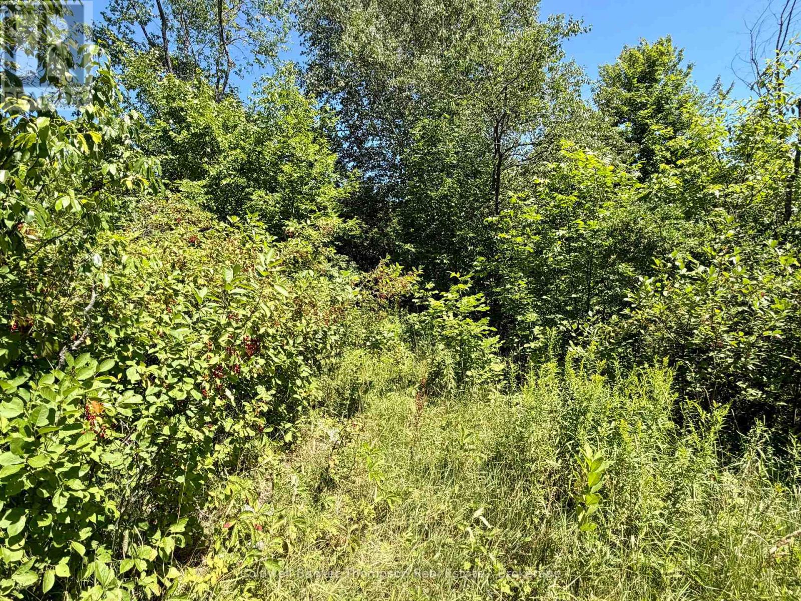 70 Blundell Rd Road S, Parry Sound Remote Area, Ontario  P0H 1Y0 - Photo 9 - X13630282