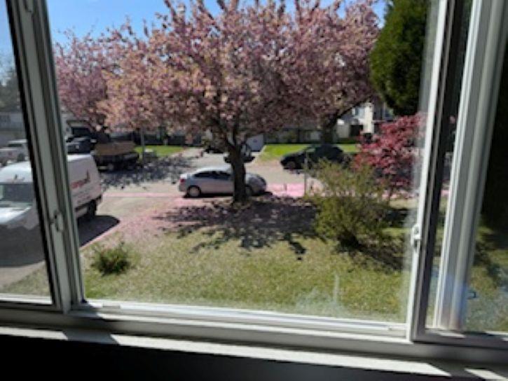 8868 Roslin Place, Surrey, British Columbia  V3V 6L8 - Photo 3 - R3151412