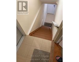BASEMENT - 175 MABLEY CRESCENT, Vaughan, Ontario