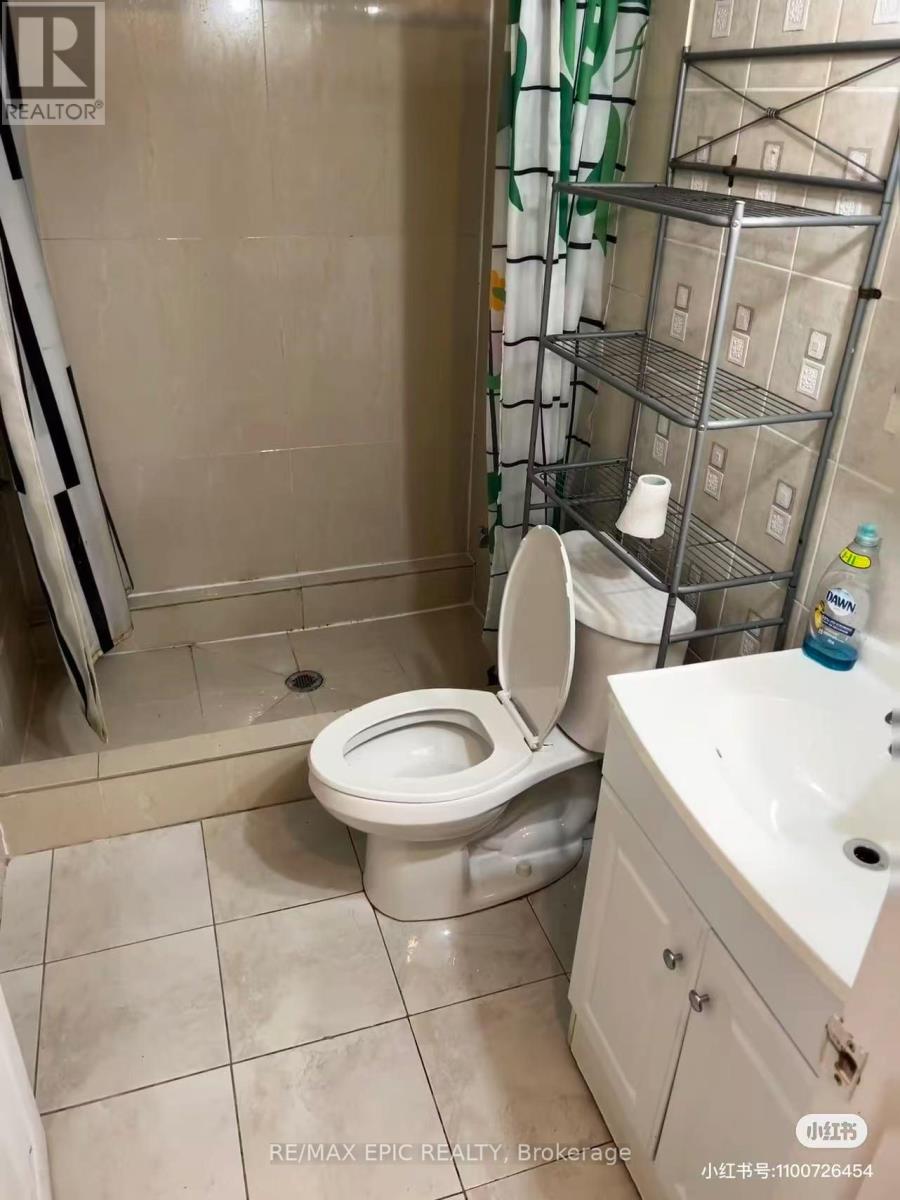 Basement - 91 Markham Street, Toronto, Ontario  M6J 2G4 - Photo 3 - C13630648